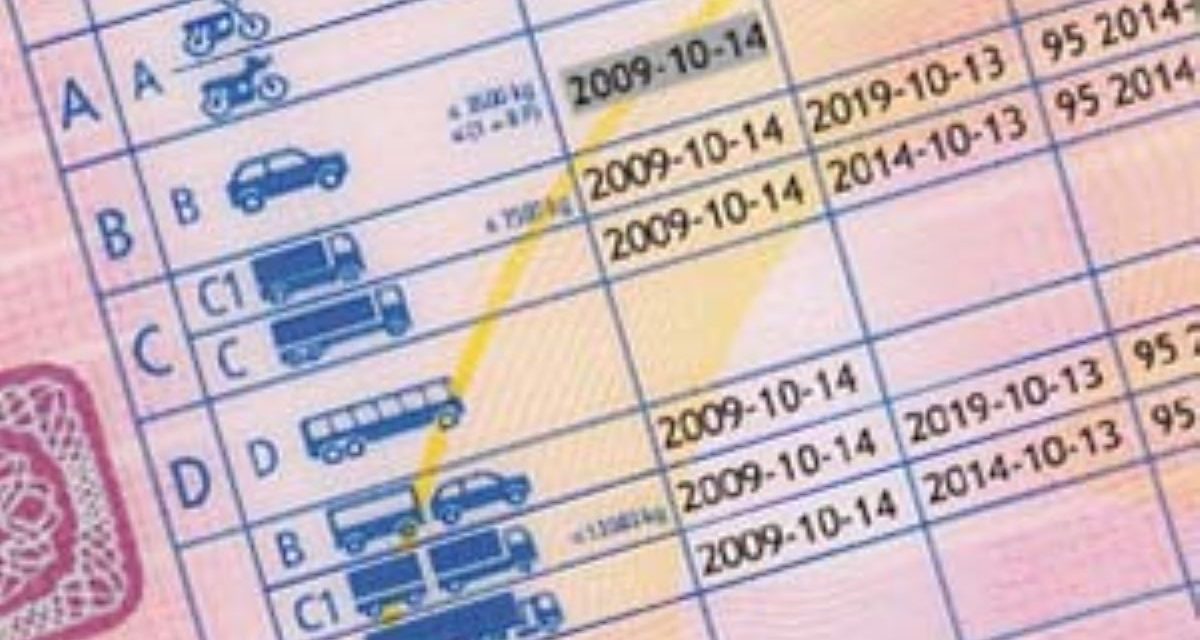 Füh­rer­schei­ne pen­deln sich ein und Prei­se stei­gen (ORF)